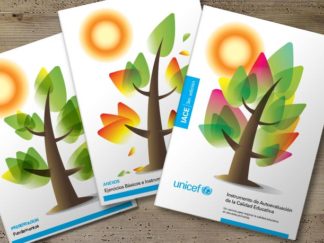 Unicef Argentina IACE Instrumento de Autoevaluación de la Calidad Educativa Books Libros Cuadernillos
